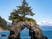 Kenia Fjords National Park
