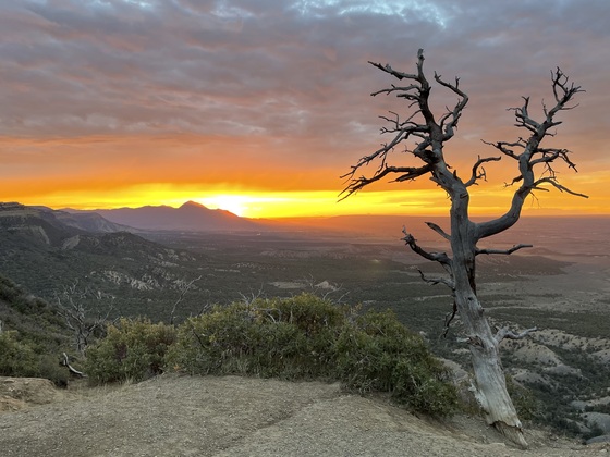 Mesa Verde National Park