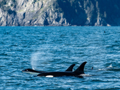 Kenai Fjords National Park