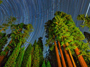 Kings Canyon National Park