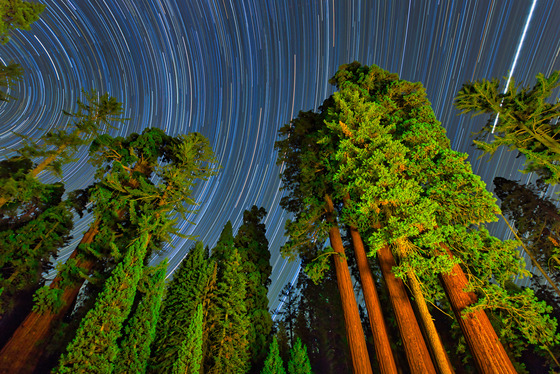 Kings Canyon National Park
