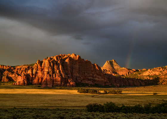 Zion National Park