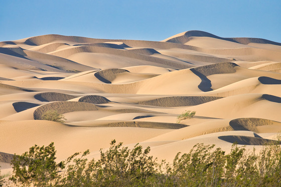 Imperial Dunes