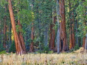 Sequoia National Park
