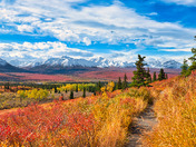 Denali National Park
