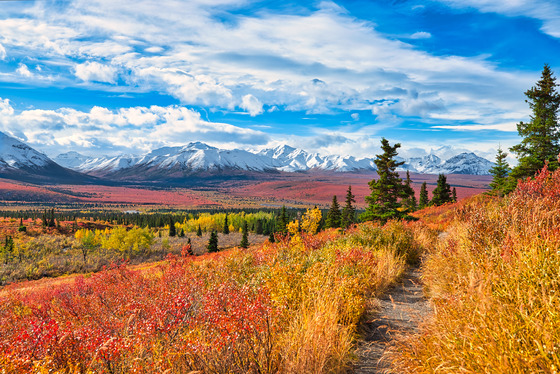 Denali National Park