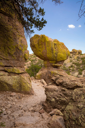 Chiricahua national monument