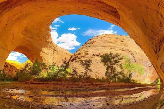 Glen canyon national recreation area
