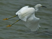 Florida Everglades National Park
