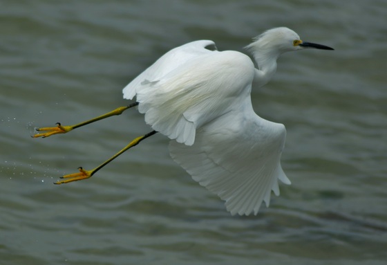 Florida Everglades National Park