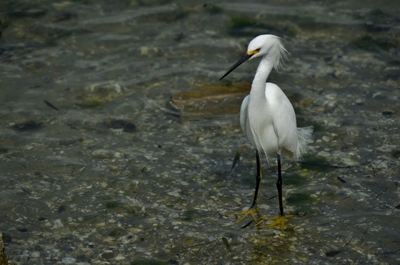 Florida Everglades National Park 