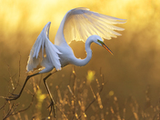 Everglades National Park