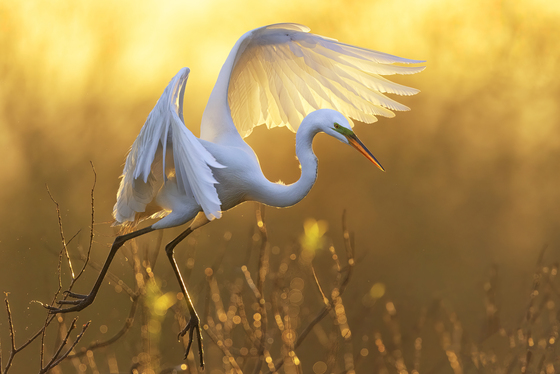 Everglades National Park