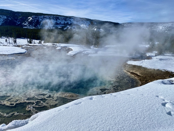 Yellowstone National Park