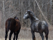 Ozark National Scenic Riverways