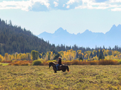 Teton Wilderness