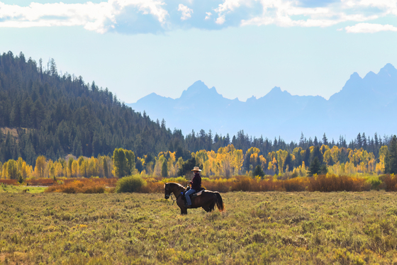Teton Wilderness