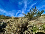 Santa Rosa and San Jacinto Mountains National Monument