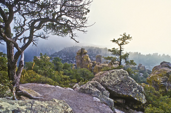 Chiricahua National Monument