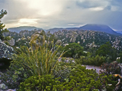 Chiricahua National Monument