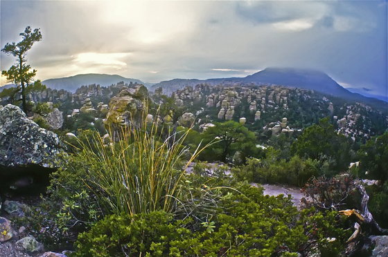 Chiricahua National Monument