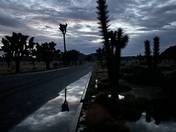 Joshua Tree National Park