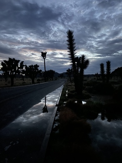 Joshua Tree National Park