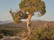 Black Canyon of the Gunnison National Park