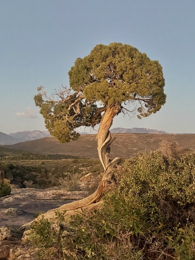 Black Canyon of the Gunnison National Park