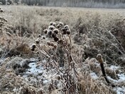 Waiting for Winter to Start