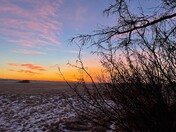 Snowless December Dawn