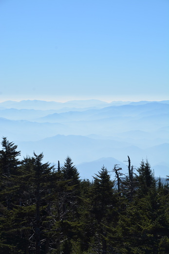 Great Smoky Mountain National Park
