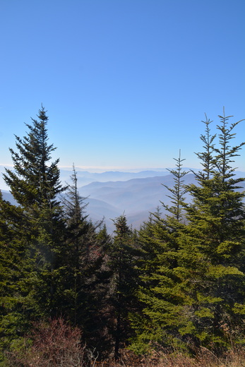 Great Smoky Mountain National Park