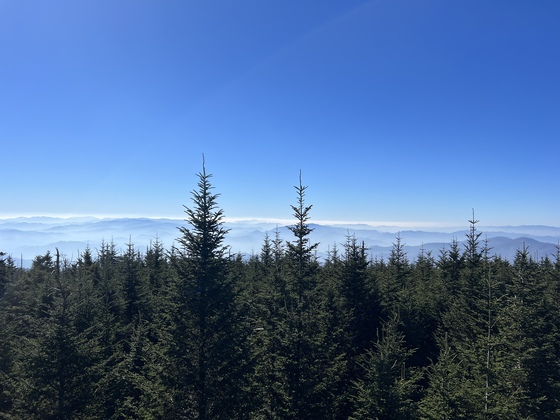 Great Smoky Mountain National Park