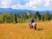 Teton Wilderness 