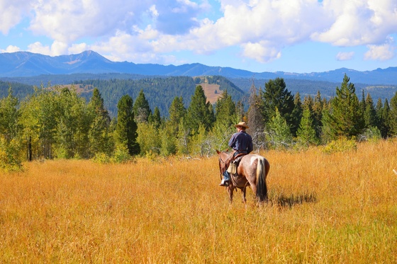 Teton Wilderness 
