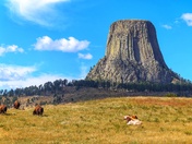 Devils Tower National Park
