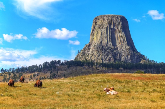 Devils Tower National Park