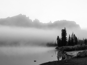 Shoeshone National Forest