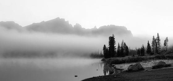 Shoeshone National Forest