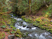Olympic National Park
