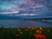 BC Ocean Views At Sunset