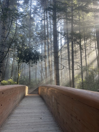 Redwoods National Park 