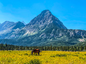 Glacier National Park