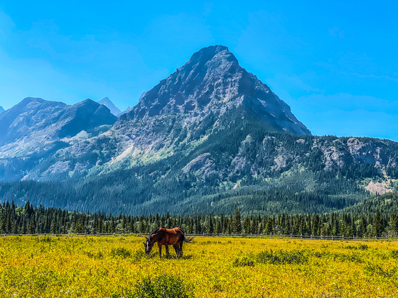 Glacier National Park