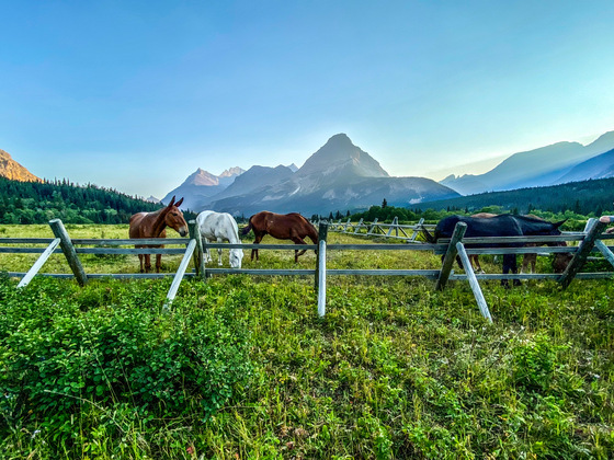 Glacier National Park