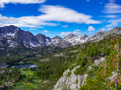 Inyo National Forest 