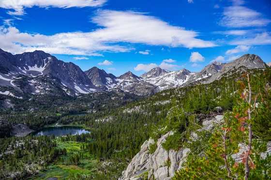 Inyo National Forest 