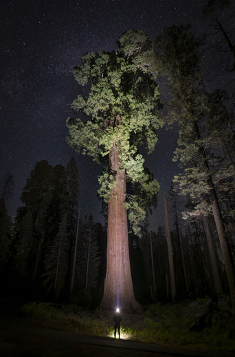 Sequoia National Park