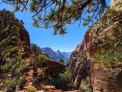 Zion National Park